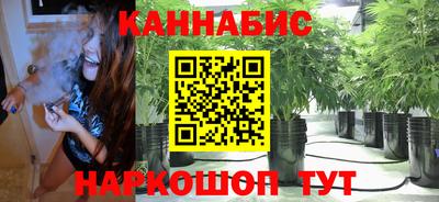 индика Гусиноозёрск