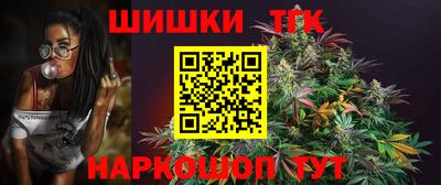 индика Гусиноозёрск