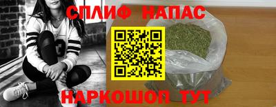 индика Гусиноозёрск
