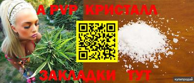 индика Гусиноозёрск