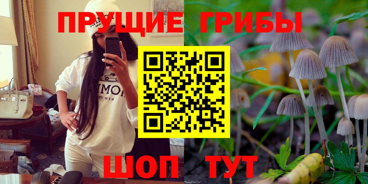 Псилоцибиновые грибы Cubensis Набережные Челны