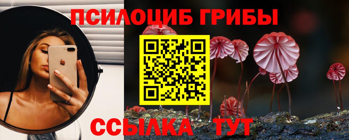 Псилоцибиновые грибы MAGIC MUSHROOMS  купить наркотик  Набережные Челны  Вход с VPN 